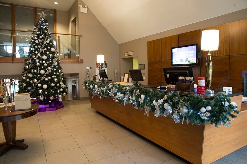 Festive Reception